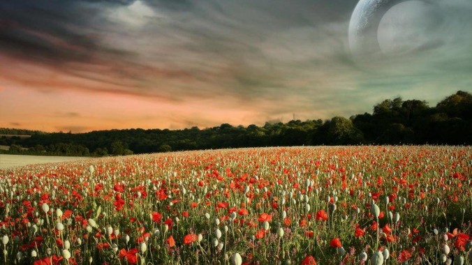 有用 NAS 被联通以安全为由要求停止使用的吗?